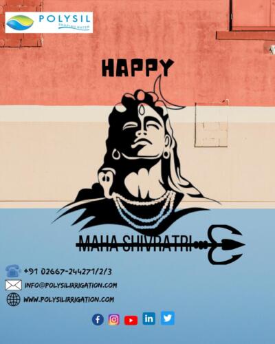Happy_(2)-compressed